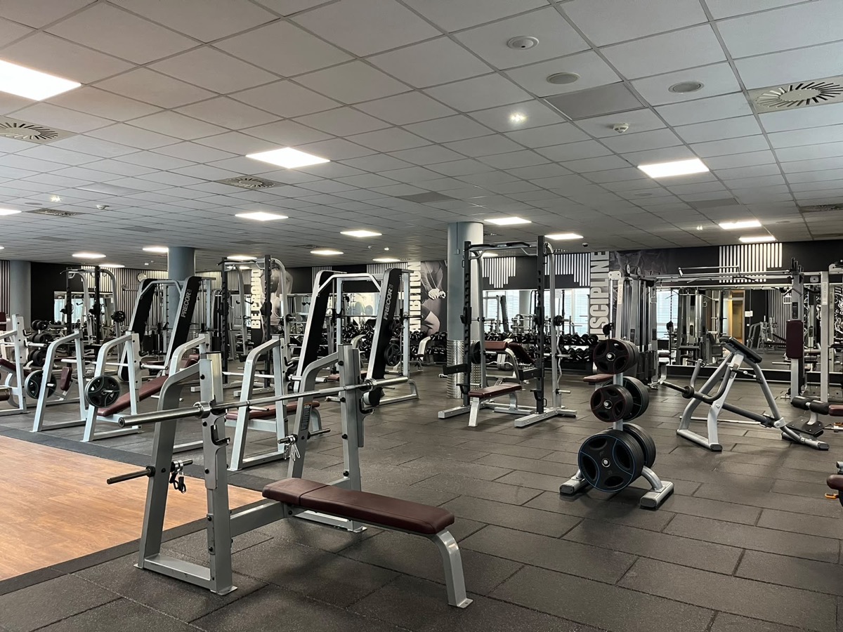 Kraftbereich im F4U Wiesbaden mit Langhantelbänken, Racks und Hantelscheiben auf dunklem Gummiboden, im Hintergrund die Wandbilder AMBITION und DISCIPLINE
